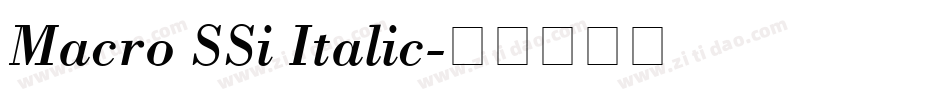 Macro SSi Italic字体转换